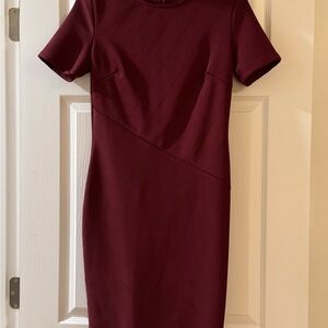 Elegant Burgundy Dress